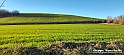 20230110_154954 - Dalla terra... il grano